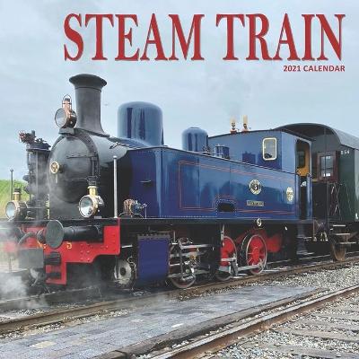 Book cover for Steam Train