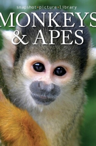 Cover of Monkeys & Apes