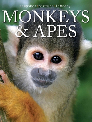 Book cover for Monkeys & Apes