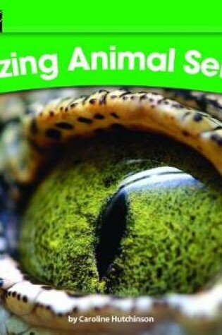 Cover of Amazing Animal Senses! Leveled Text