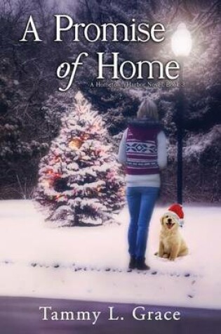 Cover of A Promise of Home