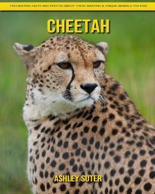 Book cover for Cheetah