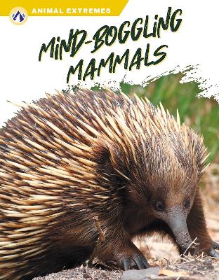 Book cover for Mind-Boggling Mammals