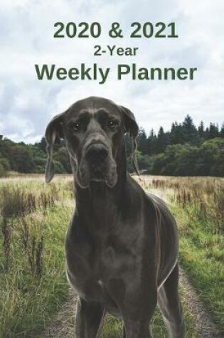 Cover of 2020 & 2021 Weekly Planner - Two Year Appointment Book Gift - Two-Year Agenda Notebook for Great Dane Dog Owners