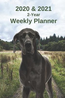 Book cover for 2020 & 2021 Weekly Planner - Two Year Appointment Book Gift - Two-Year Agenda Notebook for Great Dane Dog Owners