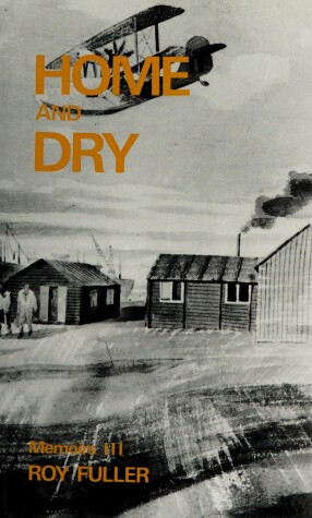 Book cover for Home and Dry