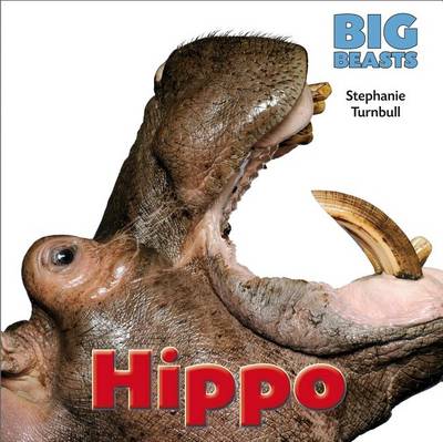 Book cover for Hippo