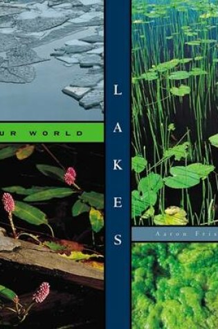 Cover of Lakes