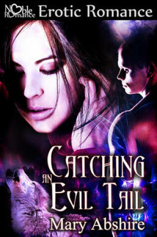 Cover of Catching an Evil Tail