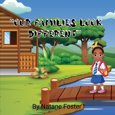 Book cover for Our Families Look Different