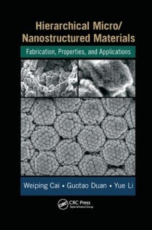 Cover of Hierarchical Micro/Nanostructured Materials