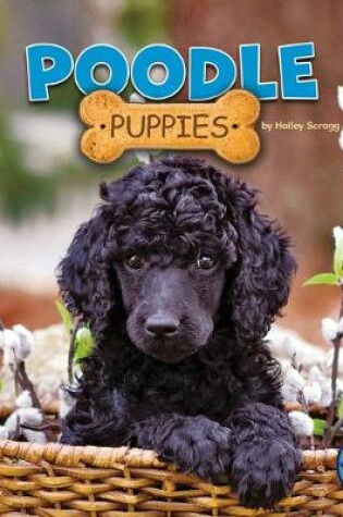 Cover of Poodle Puppies