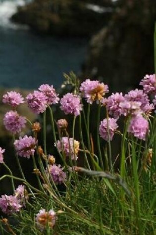 Cover of Beautiful Pink Sea Thrift Flowers Journal