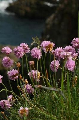 Book cover for Beautiful Pink Sea Thrift Flowers Journal