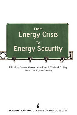 Book cover for From Energy Crisis To Energy Security