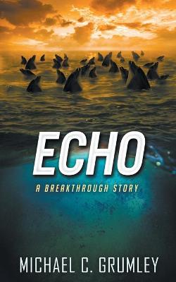 Book cover for Echo