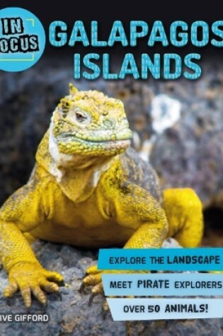 Cover of In Focus: Galapagos Islands