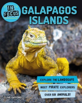 Book cover for In Focus: Galapagos Islands