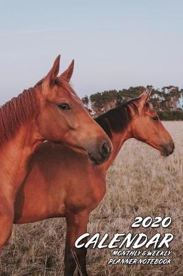 Book cover for 2020 Calendar Monthly & Weekly Planner Notebook Horseman Organizer