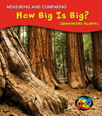 Book cover for How Big Is Big?