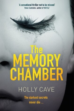 Cover of The Memory Chamber
