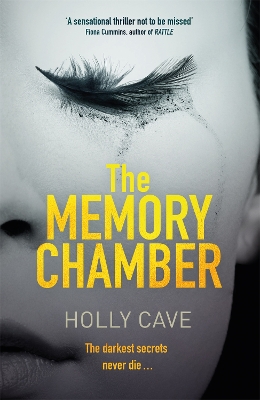 Book cover for The Memory Chamber