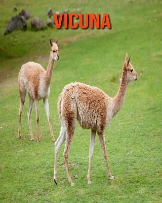 Book cover for Vicuna