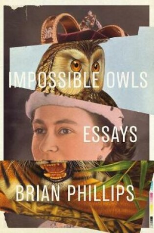 Cover of Impossible Owls