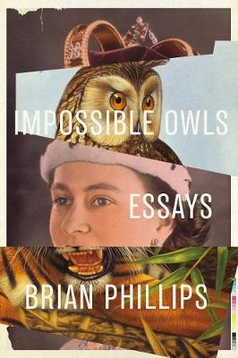 Book cover for Impossible Owls