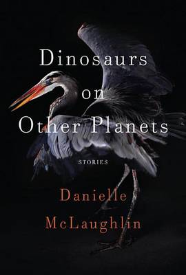 Book cover for Dinosaurs on Other Planets