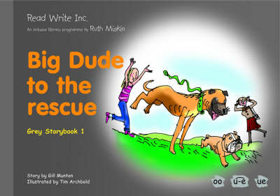 Book cover for Read Write Inc.: Set 7 Grey: Colour Storybooks: Big Dude to the Rescue