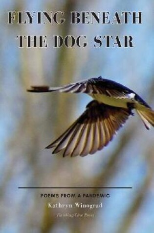 Cover of Flying Beneath the Dog Star