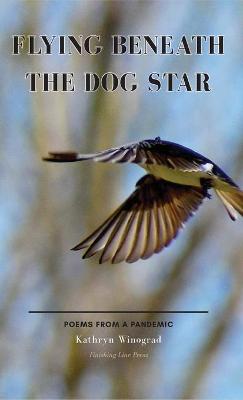 Book cover for Flying Beneath the Dog Star