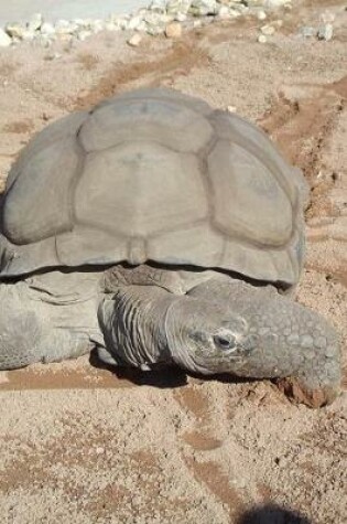 Cover of Aldabra Giant Tortoise Journal