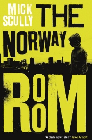 Cover of The Norway Room
