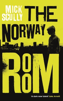 Book cover for The Norway Room