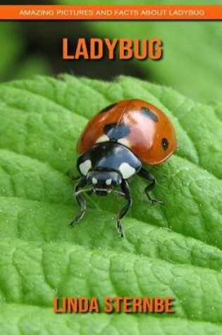 Cover of Ladybug