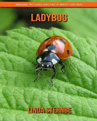 Book cover for Ladybug