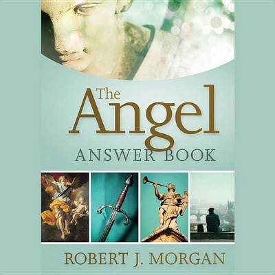 Book cover for The Angel Answer Book