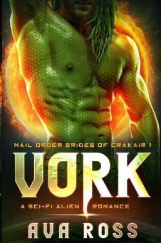 Cover of Vork