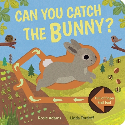 Book cover for Can You Catch the Bunny?