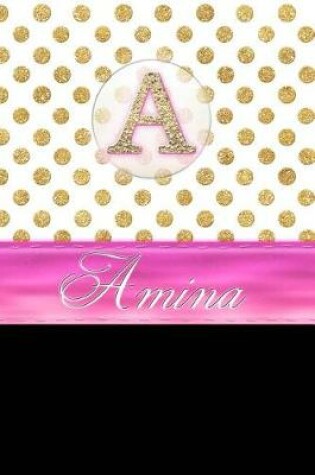 Cover of Amina