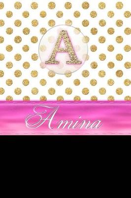 Book cover for Amina