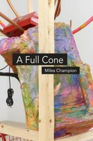 Cover of A Full Cone