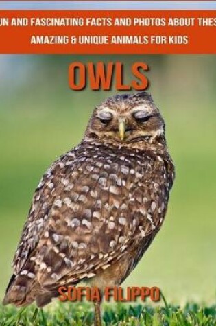 Cover of Owls