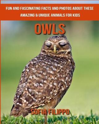 Book cover for Owls