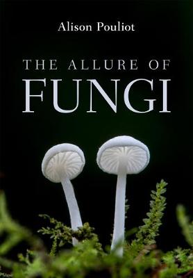 Book cover for The Allure of Fungi