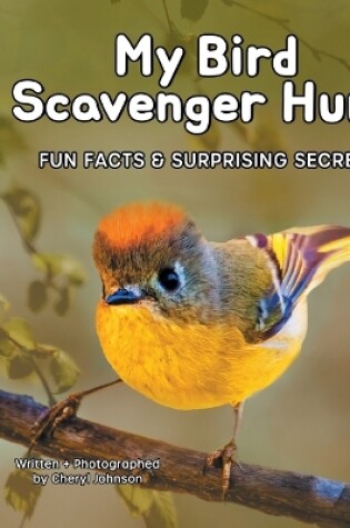 Cover of My Bird Scavenger Hunt