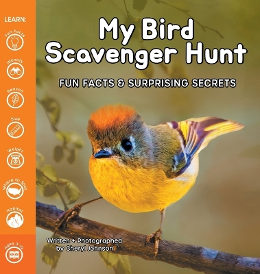 Book cover for My Bird Scavenger Hunt