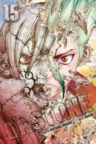 Cover of Dr. STONE, Vol. 15
